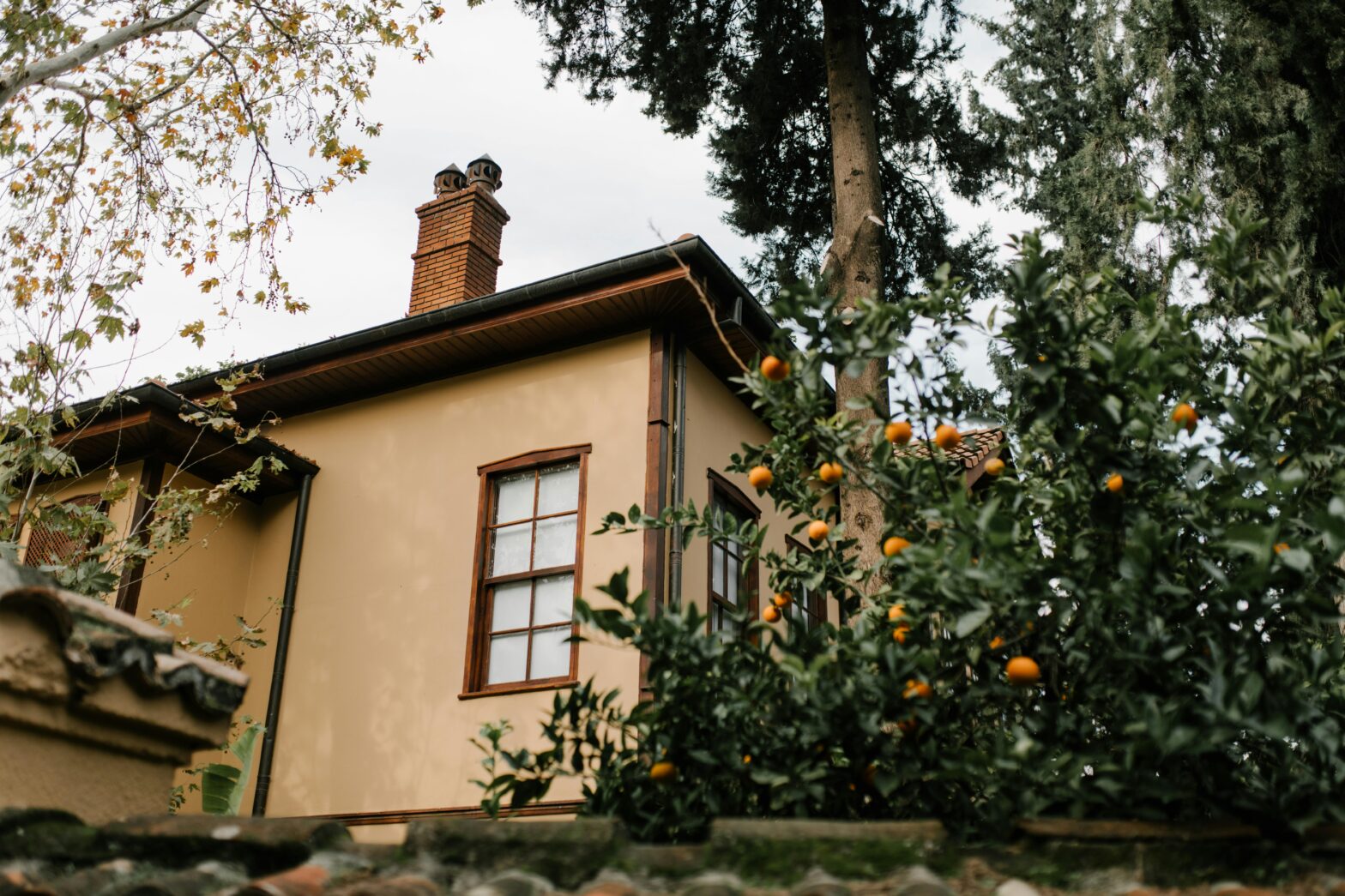 A house surrounded by trees near gutters, illustrating the potential buildup of tree debris in gutters that can lead to clogging and maintenance challenges.